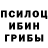 Галлюциногенные грибы Psilocybe DmitrySpb