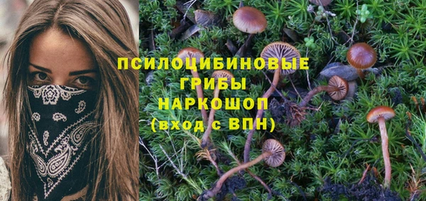 марки lsd Лиски