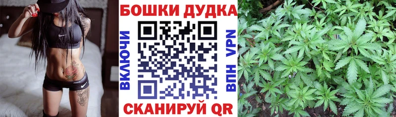 ОМГ ОМГ как войти  Камешково  Бошки марихуана Bruce Banner 